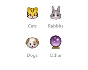 Cutesy для iOS — самая позитивная социальная сеть