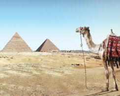 Средняя температура на Земле обновила исторический максимум