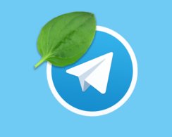 Как жить без Telegram: что делать, если мессенджер перестал работать