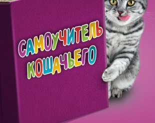 Приложение «СаМЯУчитель» — как научиться понимать свою кошку