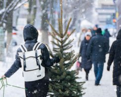 Названы три самых популярных способа мошенничества в новогодние праздники