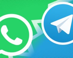 Telegram научился переносить историю переписки из WhatsApp. Вот как это сделать